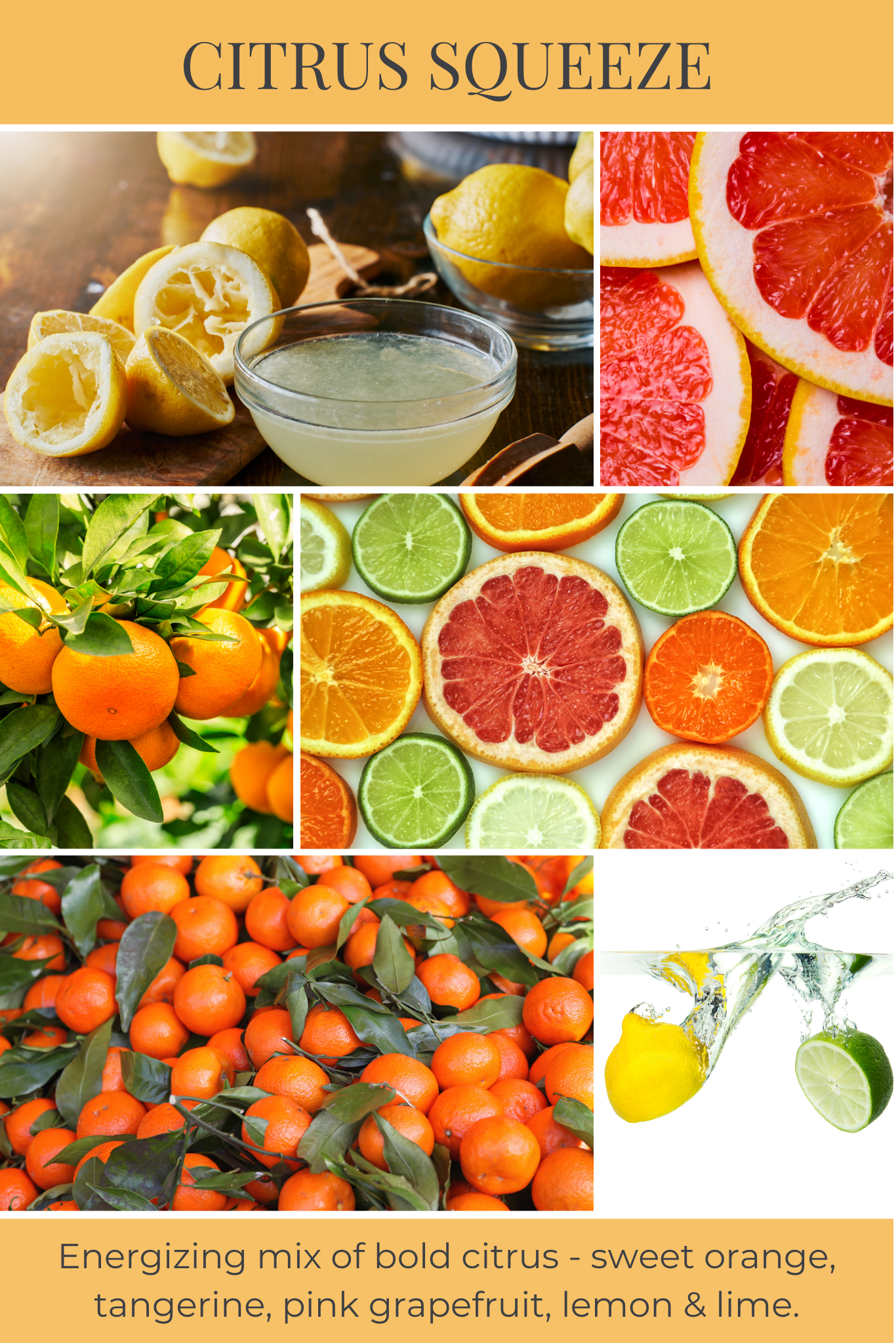 Reed diffuser CITRUS SQUEEZE