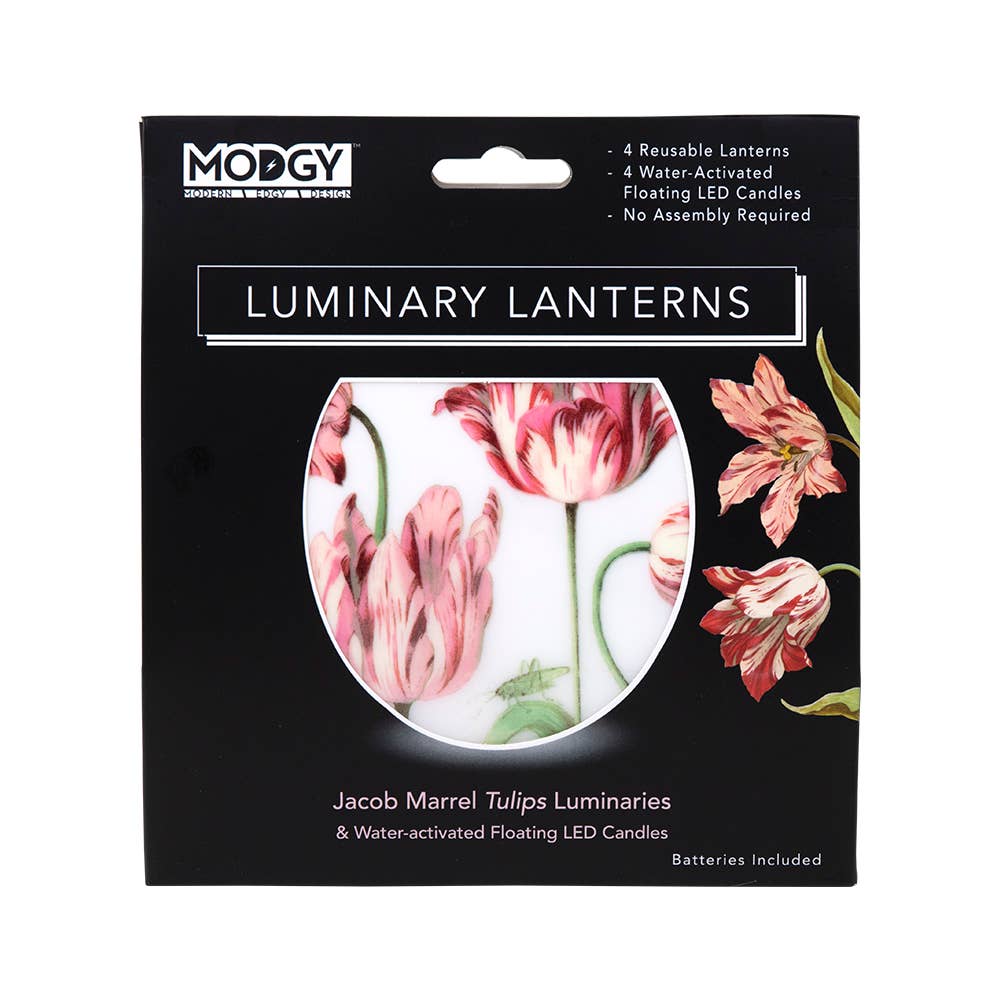 Luminary Lantern - Jacob Marrell Tulips