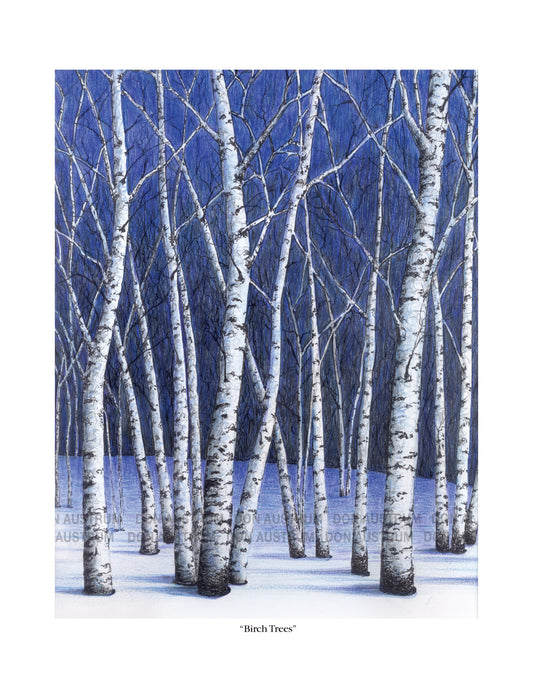 "Birch Trees" Framed Print